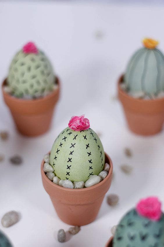 diartis_huevos_cactus